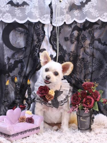 20231014ポンタくん